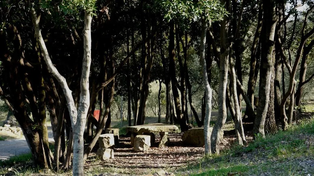 Camping Le Soline Casciano Di Murlo 3*,