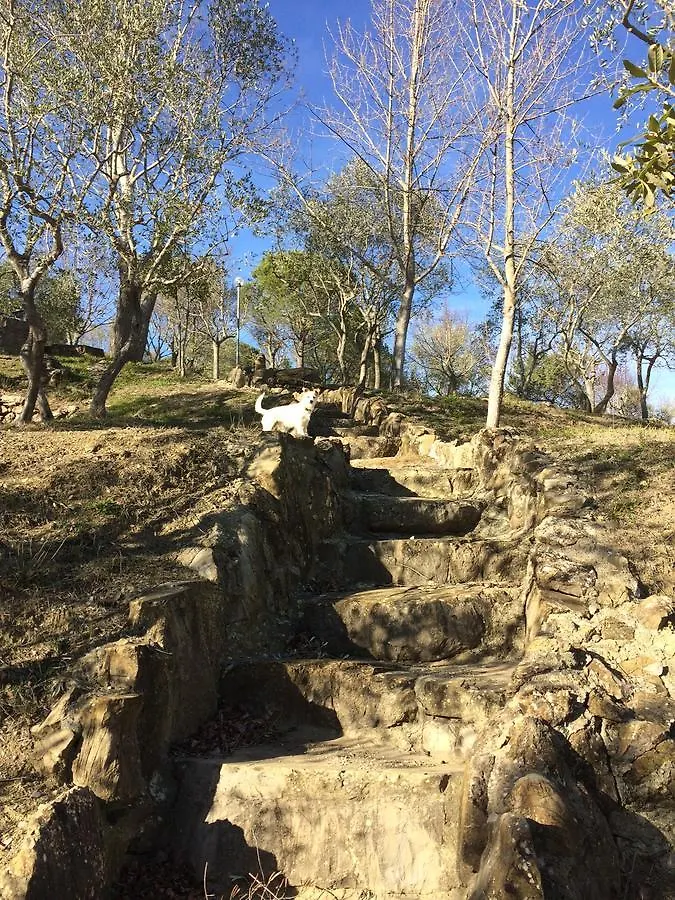 Camping Le Soline Casciano Di Murlo